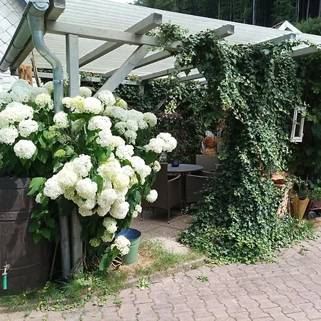 Appartement ,,an Der Kleinen Wilde